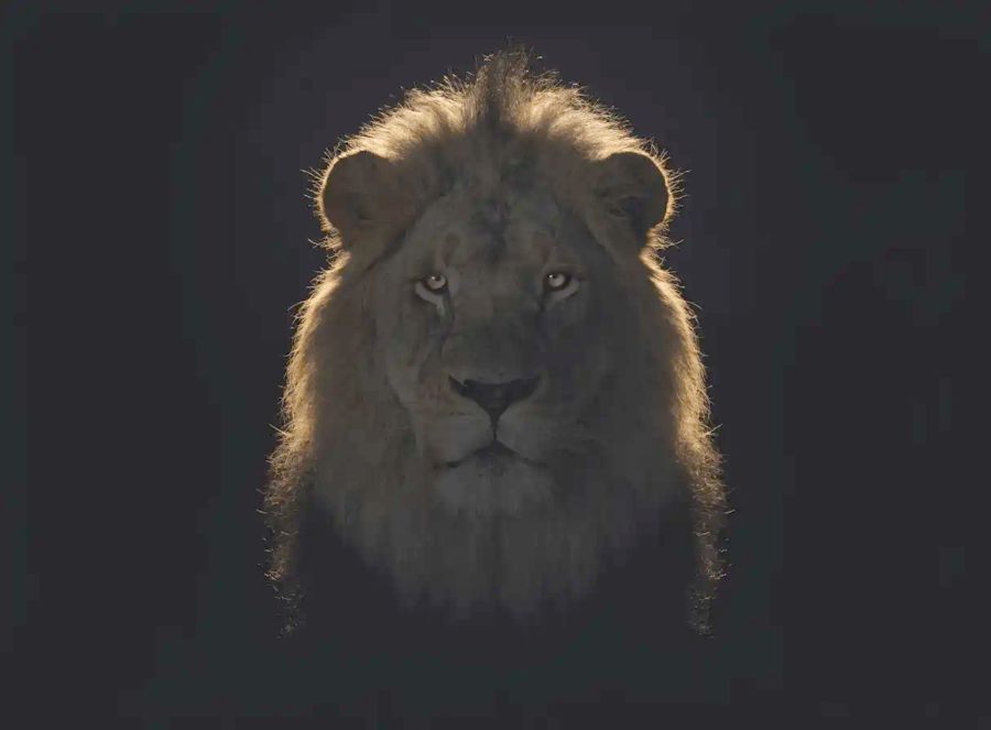 Leadership